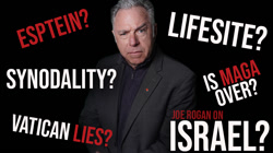 CIVIL WARS: LifeSiteNews, Epstein Files, MAGA Blues, Vatican Lies