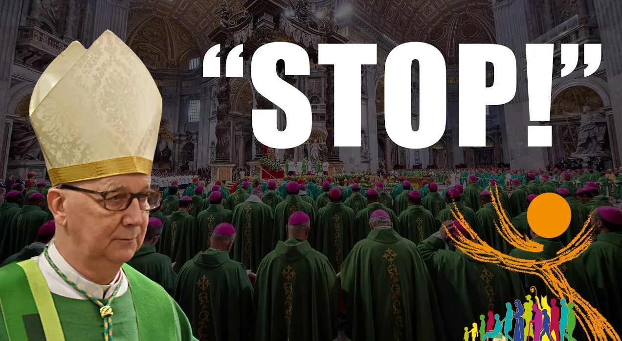 “Synodality has not awakened love for Jesus Christ in a single soul!”
