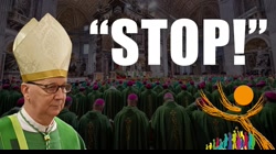 “Synodality has not awakened love for Jesus Christ in a single soul!”